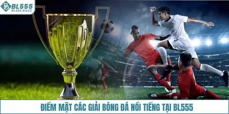 Giải bóng đá nổi tiếng tại BL555